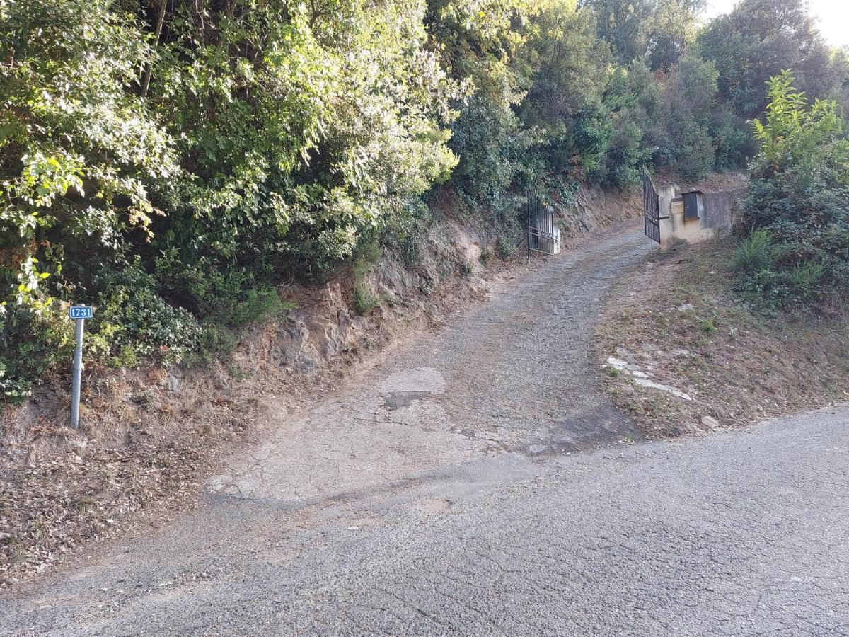Ribellu Villa Bastia  Exteriör bild