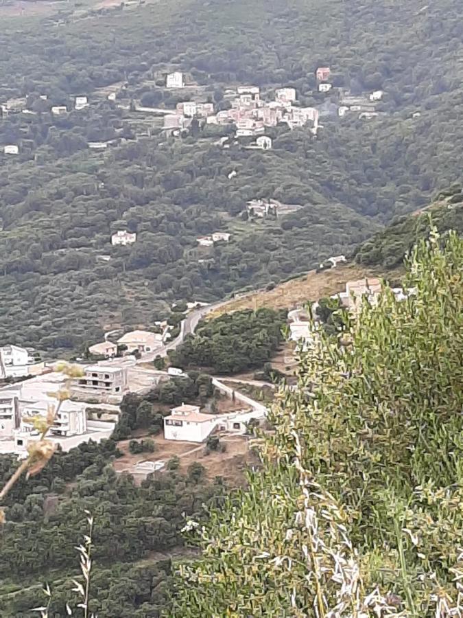Ribellu Villa Bastia  Exteriör bild